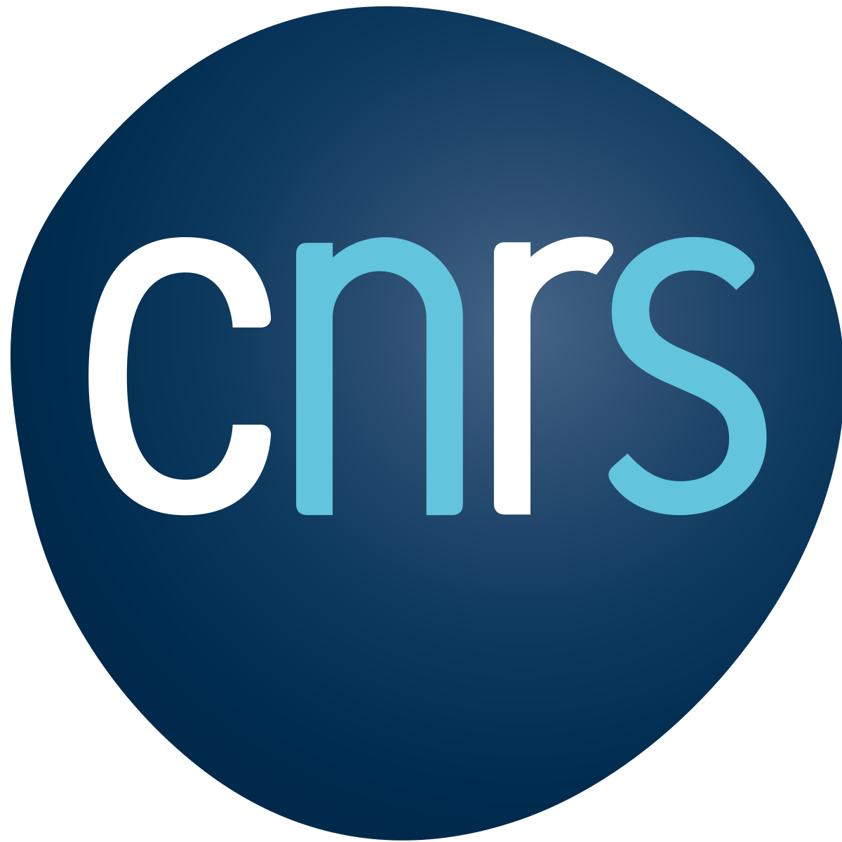Logo cnrs de strasbourg